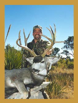 Trophy Texas muledeer deer hunting in addition to whitetail, predator, exotic turkey, hog, coyote bobcat