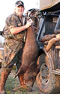 Javalina
